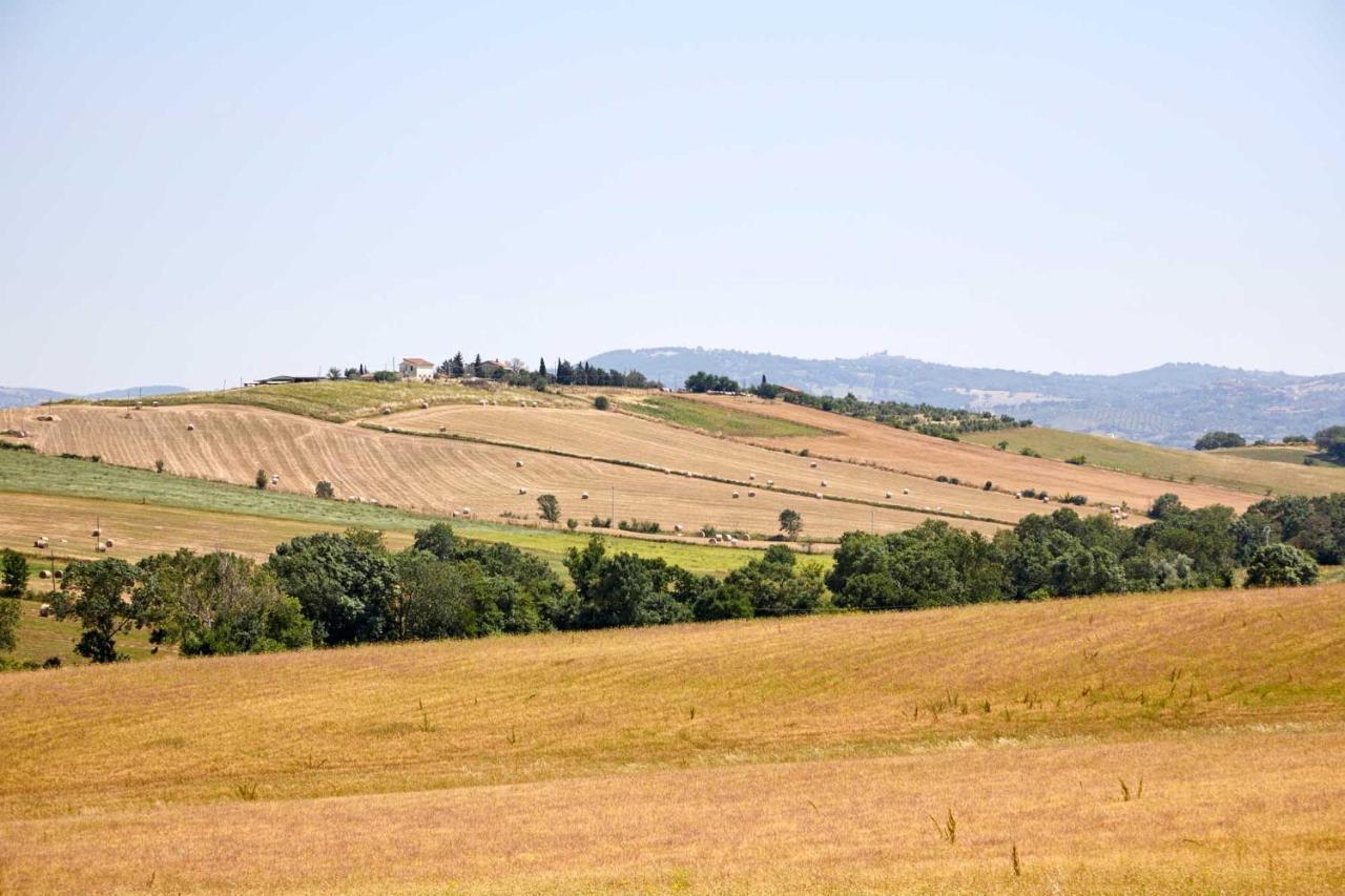 Farm stay Montecrespini *