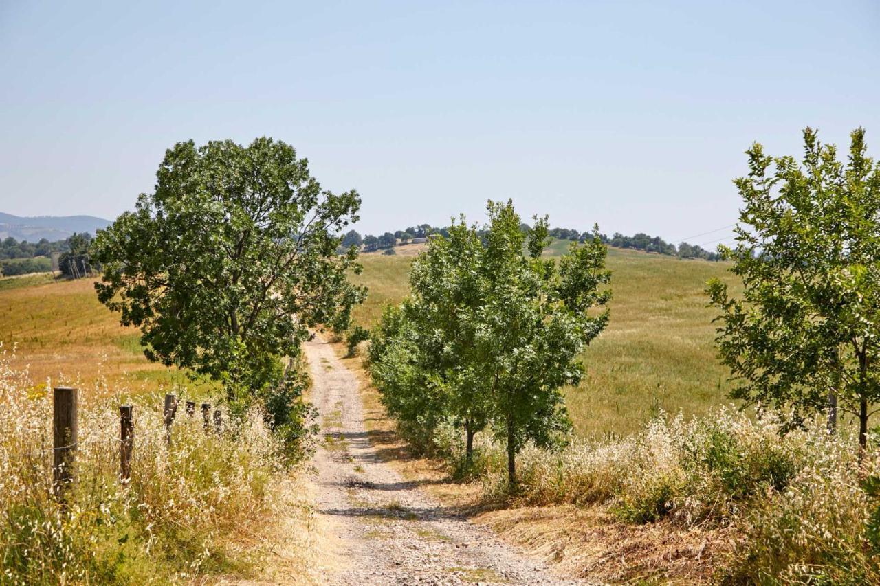 Farm stay Montecrespini *